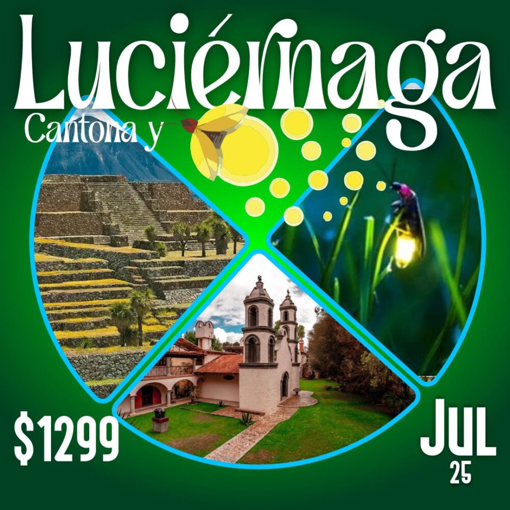 G Luciernaga Julio 25